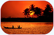 Alleppey Backwaters