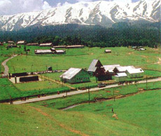 Gulmarg