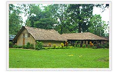 Nameri Eco Camp