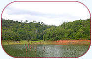 Periyar Lake